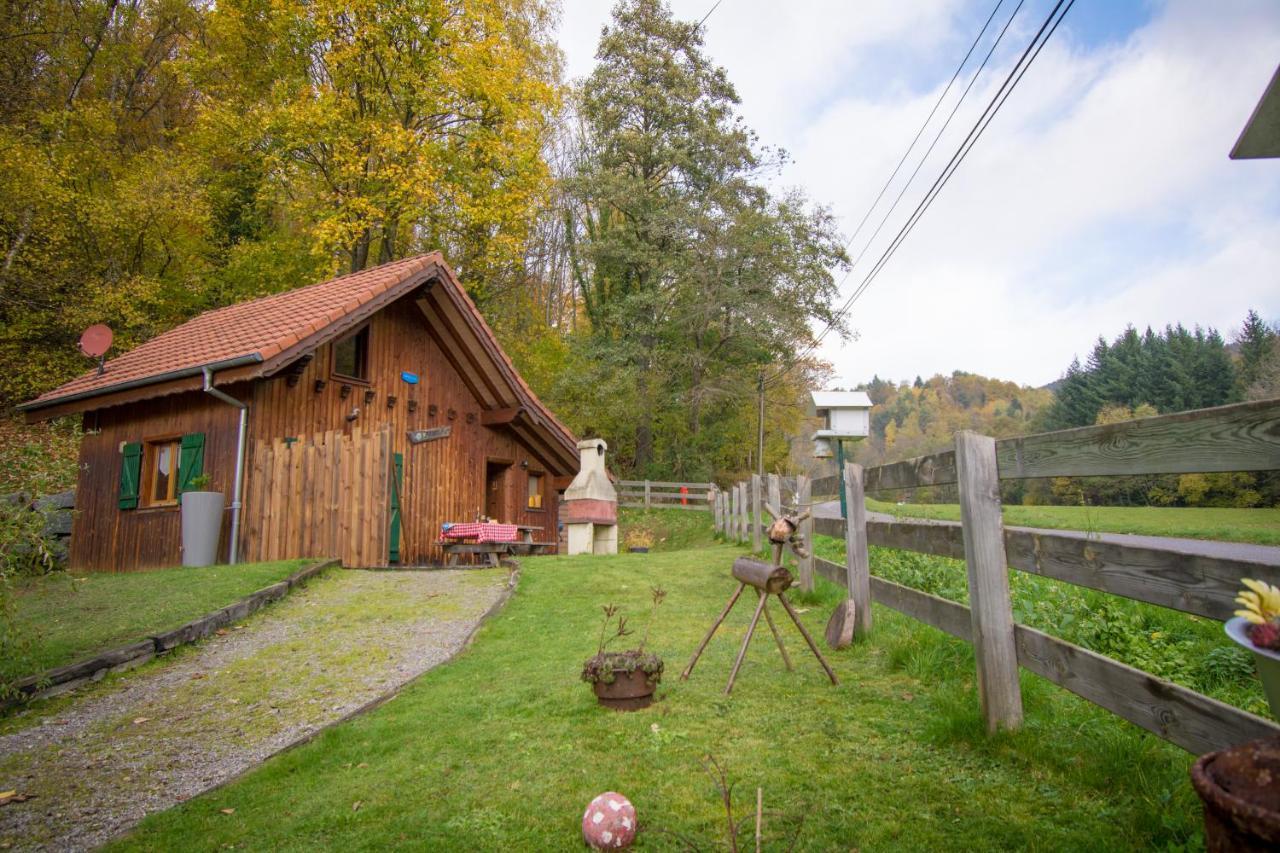 Chalet Anemone Soultzeren