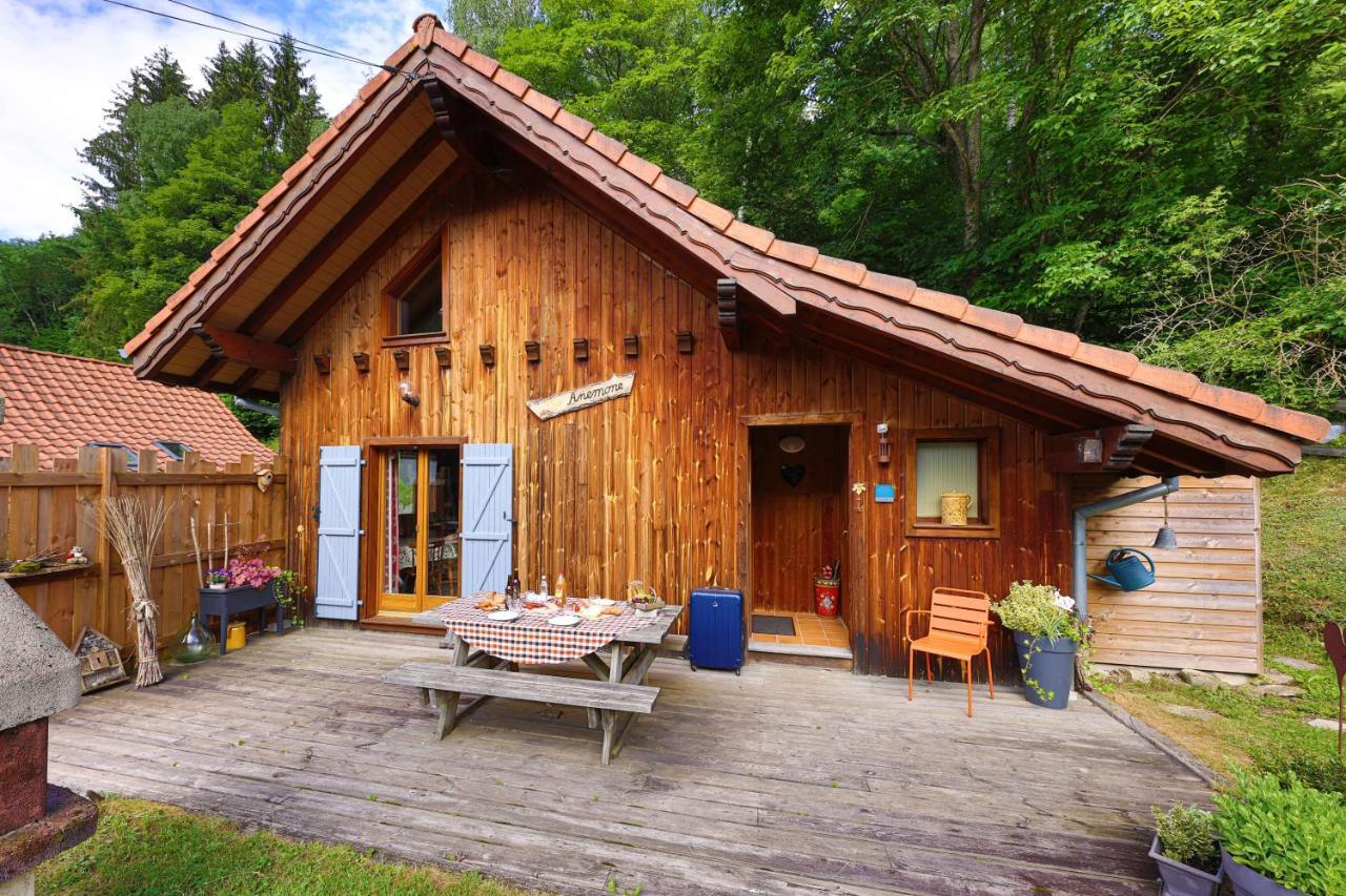 Anemone Chalet Soultzeren